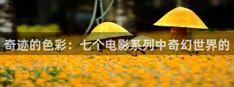 樱桃的小视频