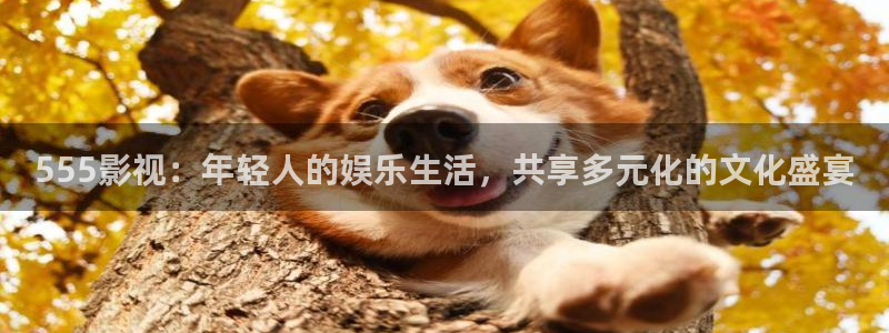 樱桃免费高清电视剧在线观看