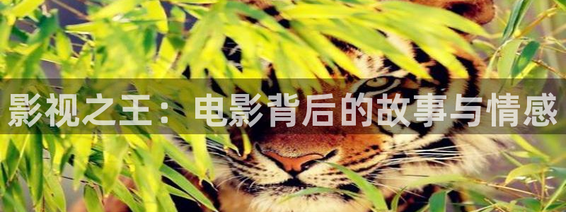 www.19樱桃视频