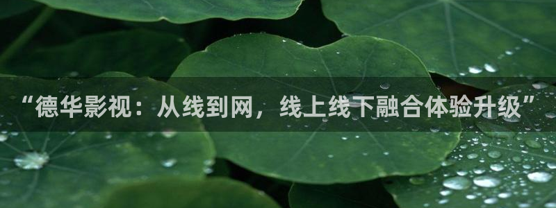 西瓜樱桃免费高清电视剧在线观看