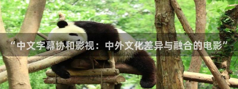 樱桃视频yingtao