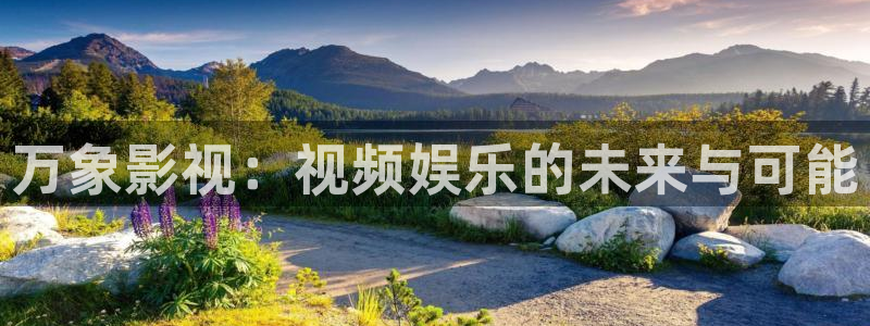 樱桃视频ty