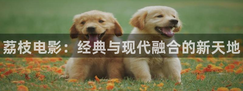 樱桃影视在线观看