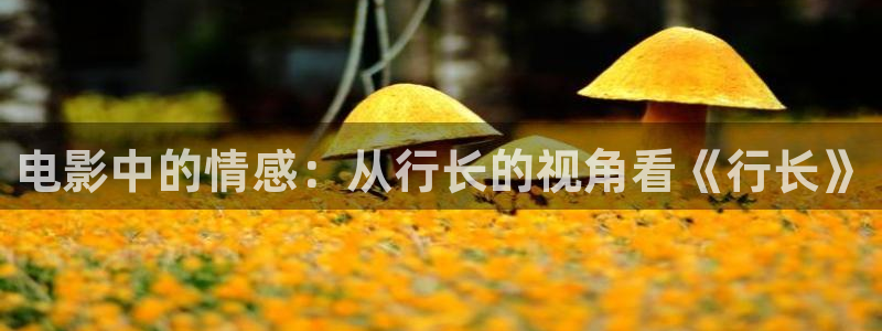 樱桃视频yingtao