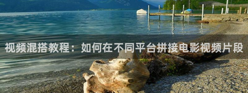 樱桃的种植方法和技巧的视频