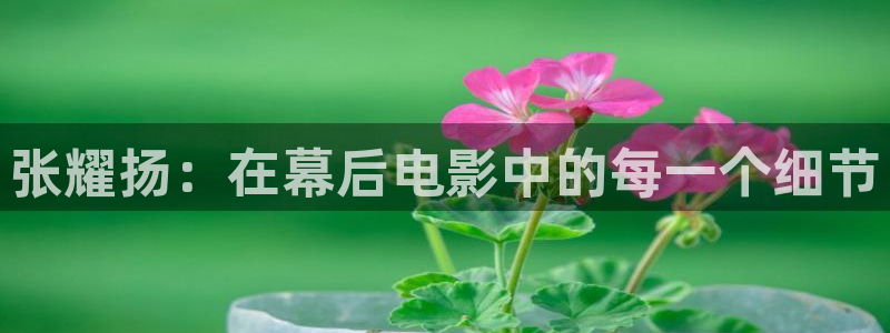 樱桃什么视频