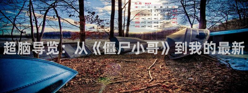 樱桃视频免费播放