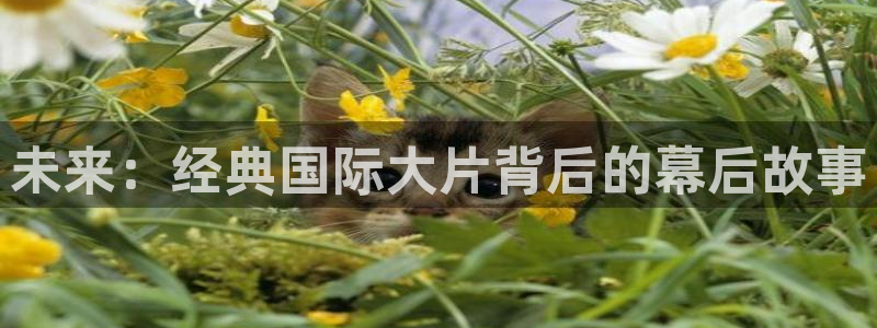 樱桃免费版在线观看电视剧大全下载