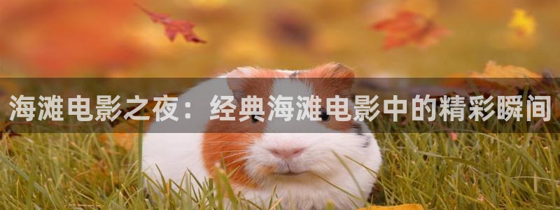 樱桃视频大全高清