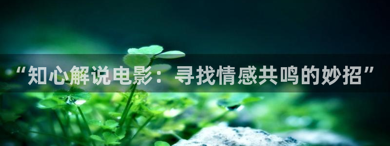 樱桃搞基视频