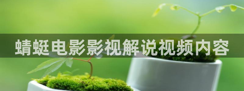 小小樱桃电视剧在线观看