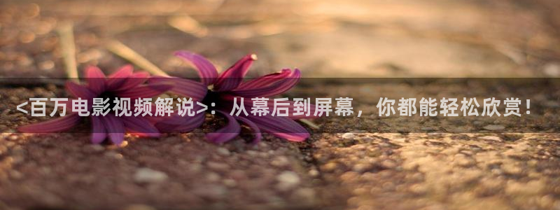 新闻图片