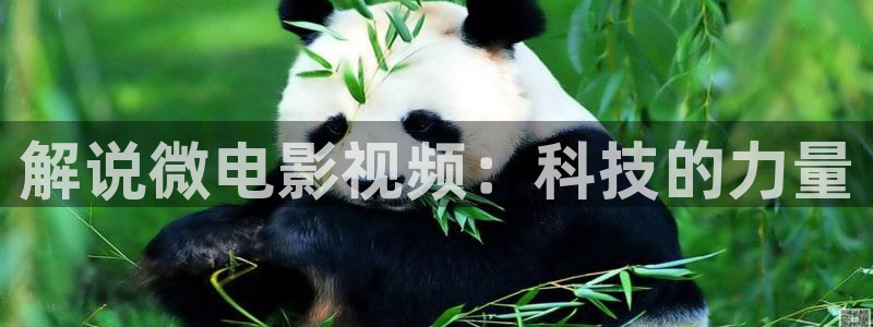 大樱桃树嫁接视频