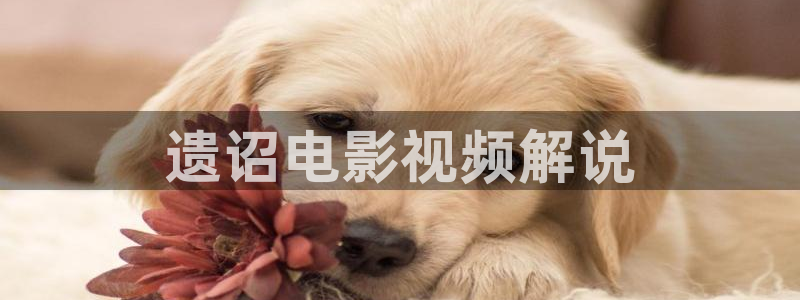 18樱桃视频