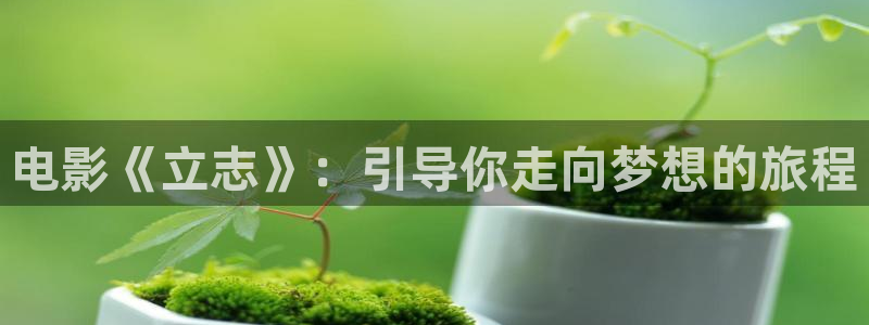 樱桃网在线视频