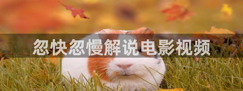 樱桃视频小蝌蚪视频