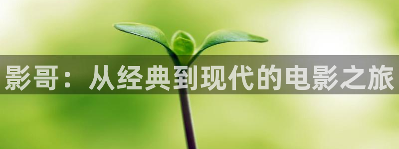 樱桃电视剧全集免费在线观看