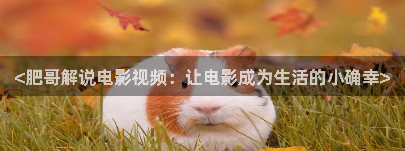 樱桃喂猪的视频